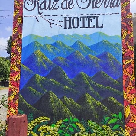 Hotel Raiz De Sierra Matlapa Exteriér fotografie