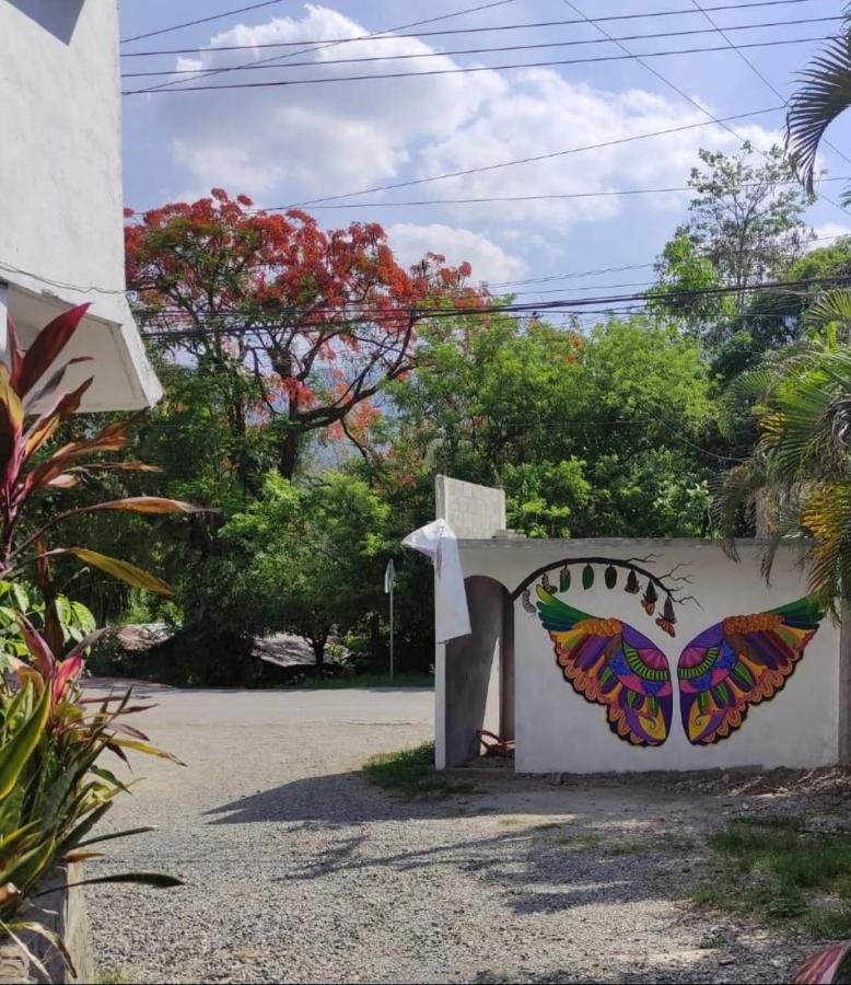Hotel Raiz De Sierra Matlapa Exteriér fotografie
