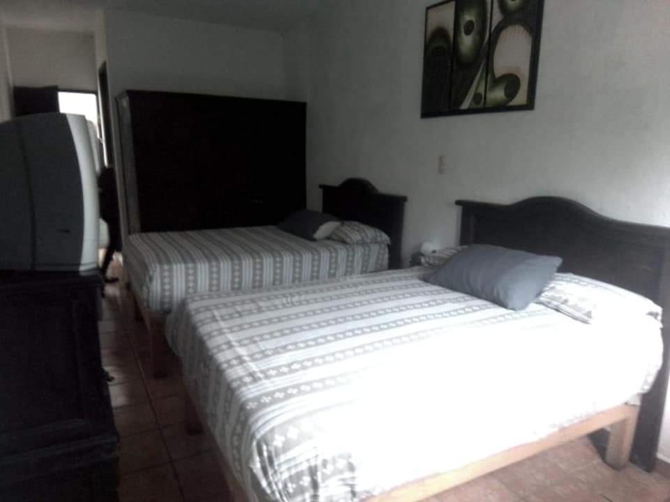 Hotel Raiz De Sierra Matlapa Exteriér fotografie